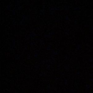 Meet your Posher, Gizelle